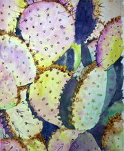 Prickly Pear Cactus